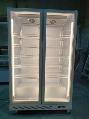1000L commerciële glazen deurkoeler met R290 koelmiddel Verticale koelkast