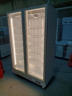 1000L commerciële glazen deurkoeler met R290 koelmiddel Verticale koelkast