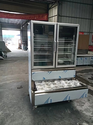 Verticale koelkast 2 glazen deur voor vriezer 2 laden voor koelmachine voor keuken met 110V/60Hz