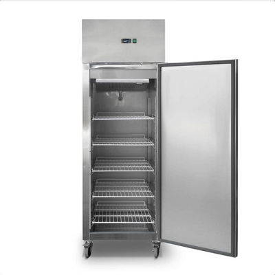 Diepvriezer van de het Roestvrije staalijskast van Ce 250W de Commerciële