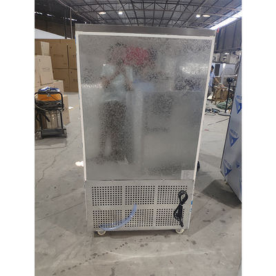 110V 60Hz 2400W 10 de Diepvriezerventilator van de Pannen het Commerciële Ontploffing Koelen
